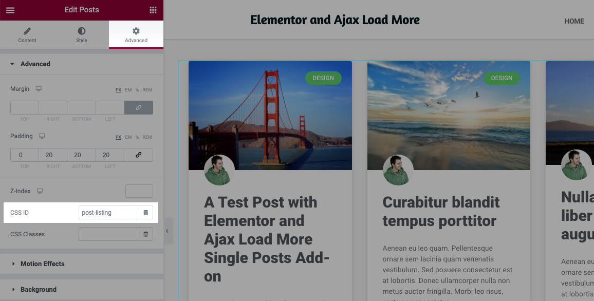 Ajax Load More Post Widget ID Entry Screen