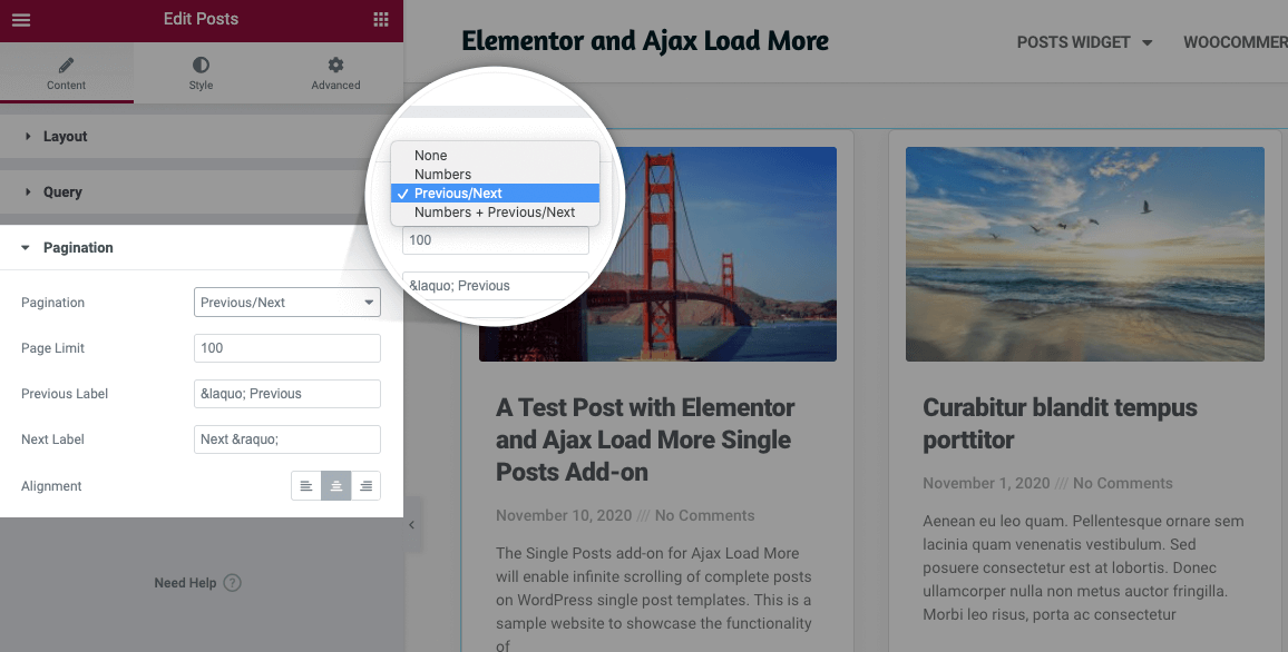 Elementor Select Pagination in Widget Options