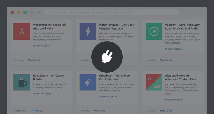 WordPress Plugin Installer Class
